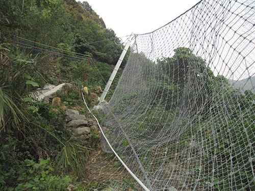 落石防護(hù)網(wǎng)圖片3